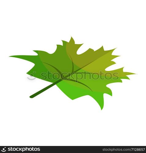 Green maple leaf icon. Isometric of green maple leaf vector icon for web design isolated on white background. Green maple leaf icon, isometric style