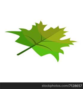 Green maple leaf icon. Isometric of green maple leaf vector icon for web design isolated on white background. Green maple leaf icon, isometric style