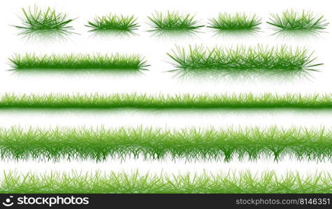 Green natural organic grass isolated on white background and texture. Vector illustration