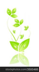 Green nature leaf concept
