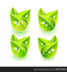 Green nature leaf concept