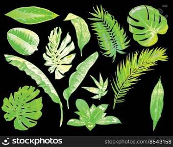 Green neon tropical leaves color exotic tree plant leaf