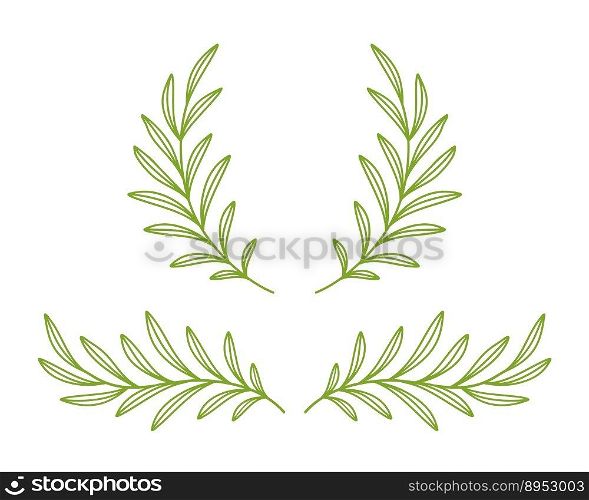 Green olive and laurel branches wreath divider vector image