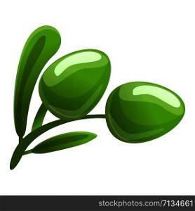 Green olive icon. Cartoon of green olive vector icon for web design isolated on white background. Green olive icon, cartoon style