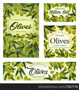 Green olives and oil vector banners with olive tree branches, leaves and fruits frame. Packaging design of Greek and Italian food, salad dressing ingredients and mediterranean cuisine products. Olive tree branches frame with green fruits, oil