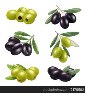 Green olives. Closeup greece authentic food olives branches products ingredients decent vector illustrations set. Branch black and green vegetable, mediterranean olive. Green olives. Closeup greece authentic food olives branches products ingredients decent vector illustrations set