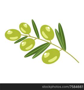Green olives on a white background. Vector illustration