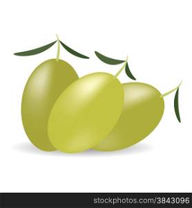 Green Olives with Leaves Isolated on White BAckground.. Green Olives