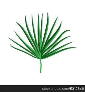 Green Palm Leaf on White Background. Vector Illustration. EPS10. Green Palm Leaf on White Background. Vector Illustration.