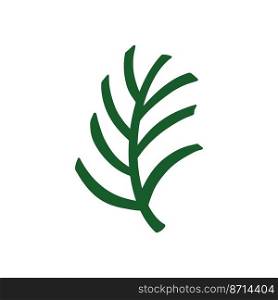 Green palm leaf. Tropical leaf on a white background. Vector illustration. Green palm leaf. Tropical leaf on a white background.