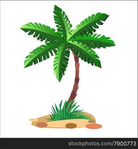 Green palm tree on a sandy soil and a neutral background