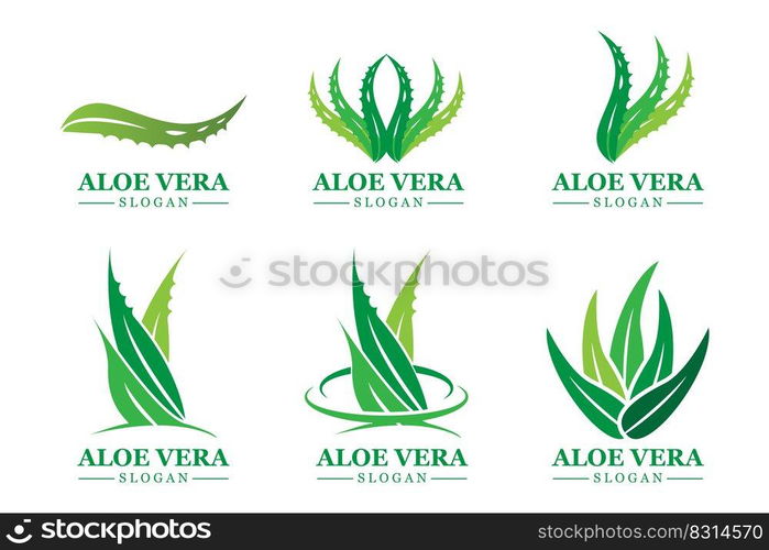 Green plant aloe vera logo vector icon symbol many benefits