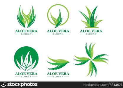 Green plant aloe vera logo vector icon symbol many benefits