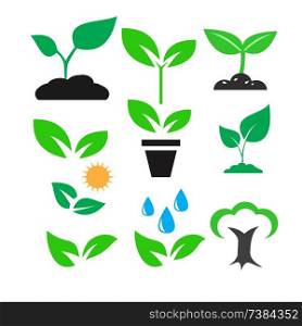 green plant and leave color icons set vector