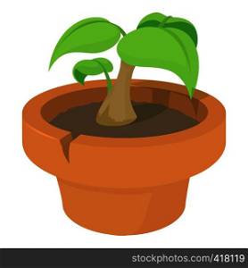 Green plant icon. Cartoon illustration of green plant vector icon for web. Green plant icon, cartoon style