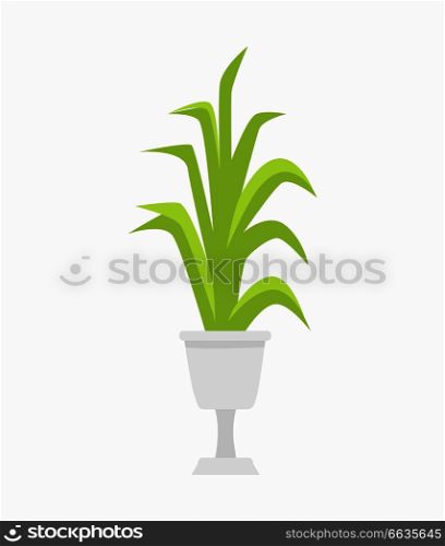 Green plant in pot, big and long leaves and cute flowerpot icon, indoor decoration, vector illustration isolated on white background. Green Plant in White Pot on Vector Illustration