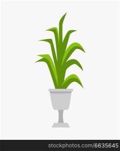Green plant in pot, big and long leaves and cute flowerpot icon, indoor decoration, vector illustration isolated on white background. Green Plant in White Pot on Vector Illustration