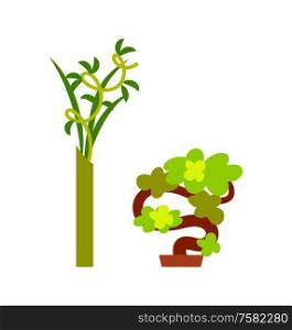 Green plant in vase and small decorative tree, convoluted branches with leaves and winding wood, bright natural symbol. Element of interior on white vector. Green Plant in Vase and Small Winding Tree Vector