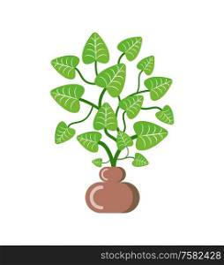 Green plant with leaves placed in vase vector. Brown pot for flora, houseplant with foliage, frondage of botanical flora. Isolated icon flat style. Potted Plant for Home with Leaves, Green Foliage