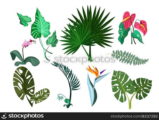 Green plants set illustration. Green plant leaves and flowers on white background. Can be used for topics like nature, garden, house plant. Green plants set illustration