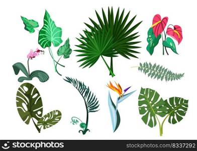 Green plants set illustration. Green plant leaves and flowers on white background. Can be used for topics like nature, garden, house plant. Green plants set illustration
