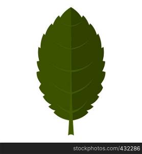 Green plum leaf icon flat isolated on white background vector illustration. Green plum leaf icon isolated