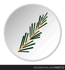 Green rosemary twig icon in flat circle isolated on white background vector illustration for web. Green rosemary twig icon circle