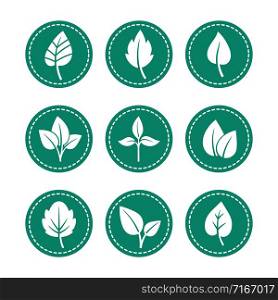 Green round icons set with leaf silhouettes vector. Green leaf round icons set