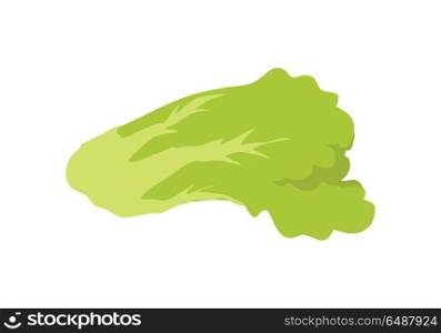 Green Salad Banner. Healthy Food Concept. Vector. Green salad banner. Healthy food concept. Organic natural food. Consumption of high quality nourishment food. Part of series of promotion healthy diet and good fit. Vector illustration