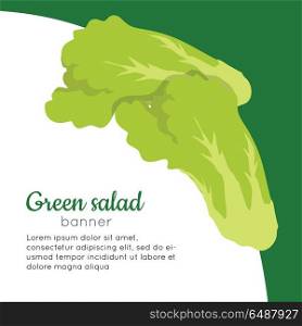 Green Salad Banner. Healthy Food Concept. Vector. Green salad banner. Healthy food concept. Organic natural food. Consumption of high quality nourishment food. Part of series of promotion healthy diet and good fit. Vector illustration