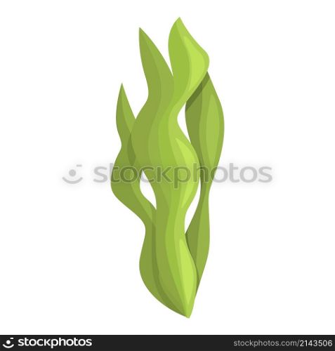 Green spirulina icon cartoon vector. Alga plant. Food sea. Green spirulina icon cartoon vector. Alga plant
