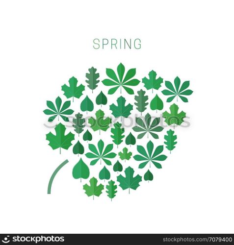 Green spring leaves.. Green spring leaf concept. Spring background with icons of leaves in flat style.