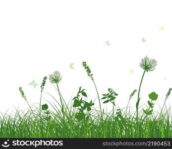 Green spring meadow grass. Fresh color plants, seasonal growth grass, separated botanical elements, herbs. Natural lawn bushes, floral border. Vector Illustration.. Green Grass Meadow