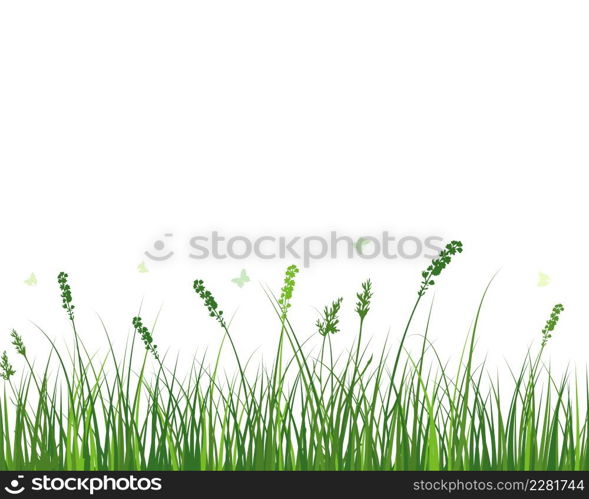 Green spring meadow grass. Fresh color plants, seasonal growth grass, separated botanical elements, herbs. Natural lawn bushes, floral border. Vector Illustration.