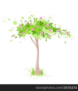 green spring tree with pink flowers