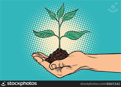 green sprout in hand. Horticulture and agriculture. Ecology and environmental protection. Pop art retro vector illustration. green sprout in hand
