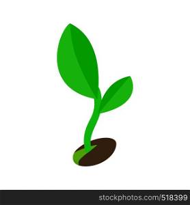 Green sprout in the ground icon in isometric 3d style on a white background. Green sprout in the ground icon