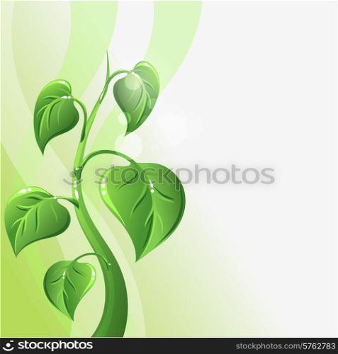 Green sprout with leaves and copyspace for your text.. Green sprout with leaves and copyspace for your text