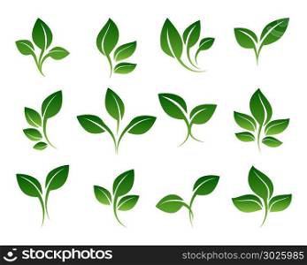 Green sprouts set. Green sprouts. Growing plants signs isolated on white background, vector sprouting shoots with green leaves symbols