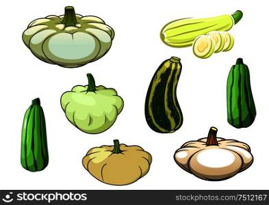 Green striped zucchini, pumpkin and shallow white pattypan squash vegetables isolated on white background. For vegetarian food or agriculture theme . Pumpkin, zucchini and pattypan squash