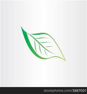 green stylized leaf icon design element