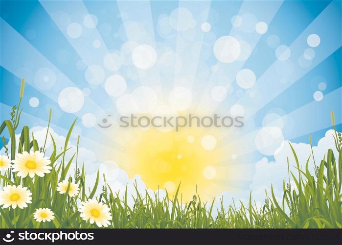 Green Summer Background with Sun Grass Clouds and Flowers