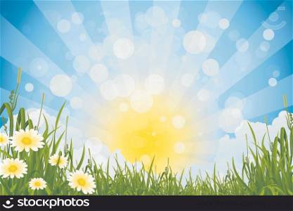 Green Summer Background with Sun Grass Clouds and Flowers