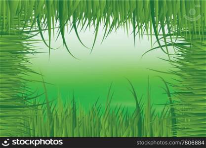 Green summer meadow in fresh grass frame abstract vector illustration.