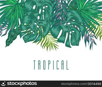 Green summer tropical background with exotic palm leaves and plants.. Green summer tropical background with exotic palm leaves and plants on white background and place for your text.. Vector floral banner design