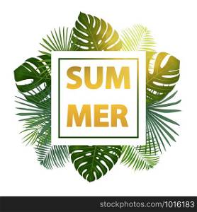 Green summer tropical background with exotic palm leaves and plants. Vector background.