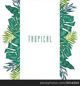 Green summer tropical background with exotic palm leaves and plants. Vector floral background.. Vertical Green summer tropical background with exotic palm leaves and plants on white background and place for your text.. Vector floral banner design