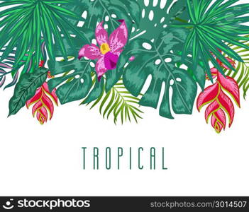 Green summer tropical background with exotic palm leaves and plants. Vector floral background.. Green summer tropical background with exotic palm leaves, hibiscus, orchid and heliconia flowers, plants on white background and place for your text.. Vector floral banner design