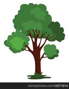 Green tall tree, illustration, vector on white background