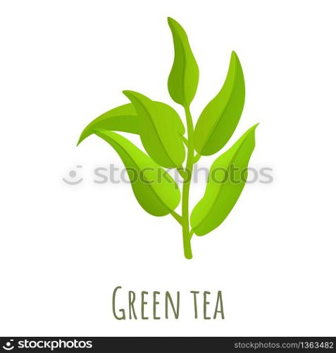 Green tea leaf icon. Cartoon of green tea leaf vector icon for web design isolated on white background. Green tea leaf icon, cartoon style
